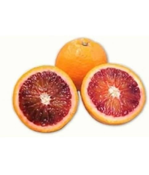 Blood Oranges - 18 Lb Case